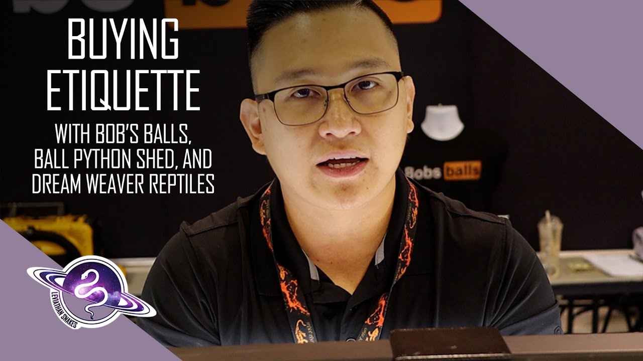 Ball Python Buyer Etiquette | Reptilian Nation Reptile Show