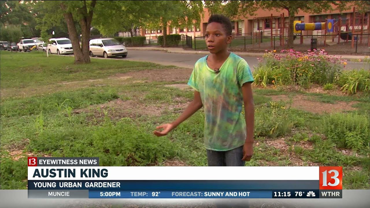 Young Urban Gardener Community Garden Vandalized
