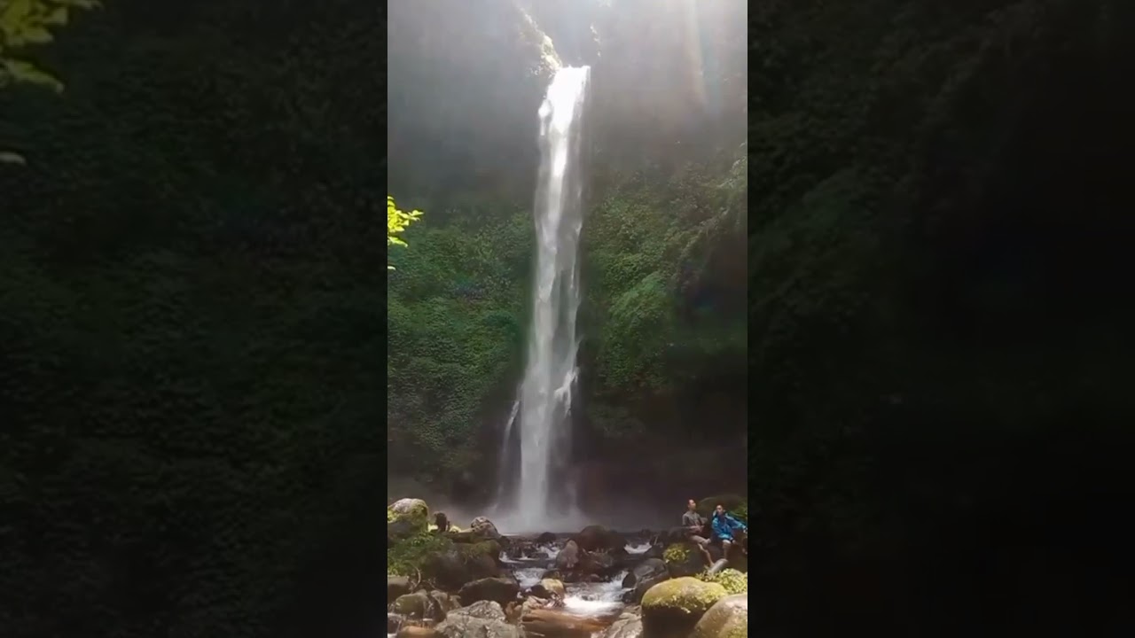 Menembus hutan belantara mencari Curug Lojahan