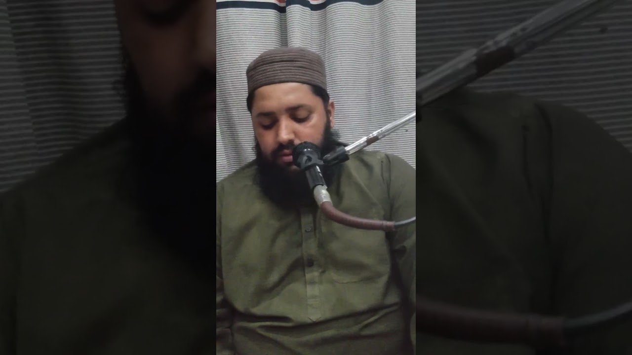 Hafiz Qari Syed Hamza jameel 