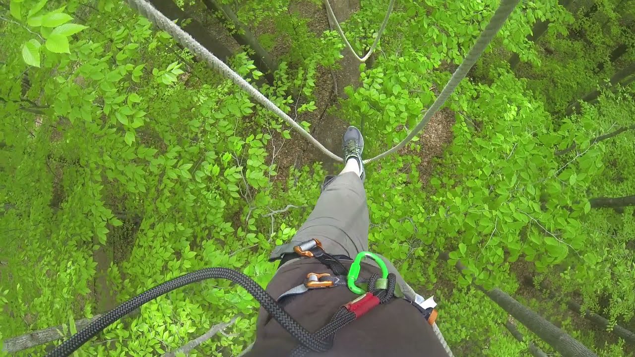 Go Ape Ropes Course & Ziplining - Springfield VA