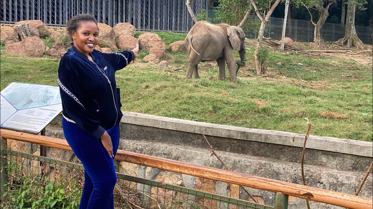 Inside The Uganda Wildlife Education Center/ZOO