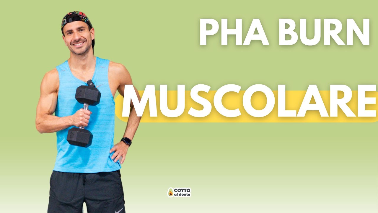PHA Muscolare – Allenamento Total Body con Pesi (35 min)
