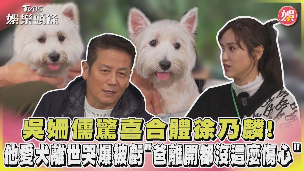 吳姍儒驚喜合體徐乃麟! 他愛犬離世哭爆被虧「爸離開都沒這麼傷心」｜TVBS娛樂頭條