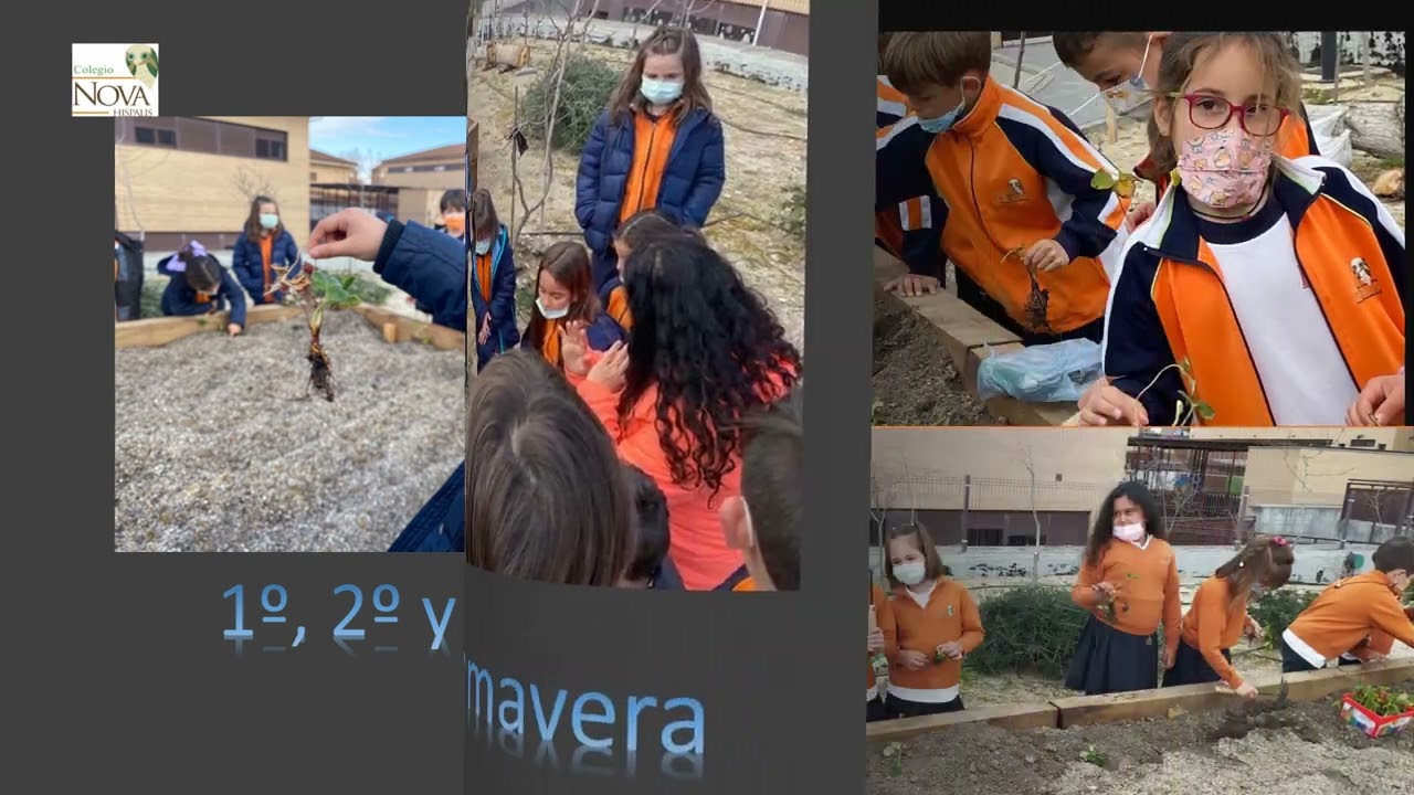 Aulas al aire libre  Vídeo