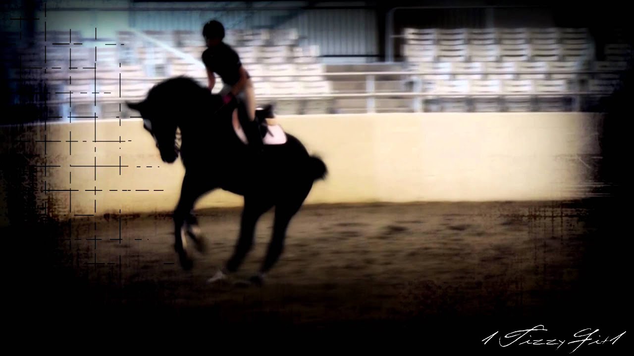 ¹⁰⁰⁰I'm Not Giving Up¹⁰⁰⁰ -Cirsten Clark