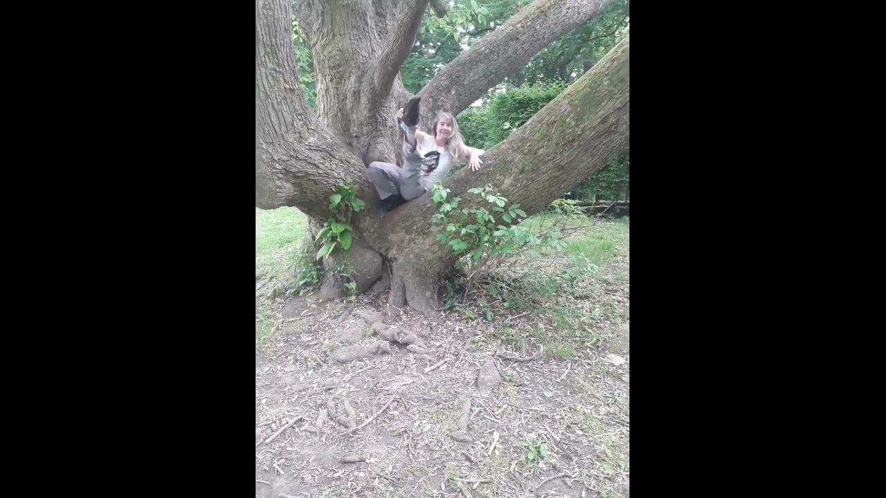 Breakdance at 54y -Freezes dans un arbre -  Freezes in a Tree