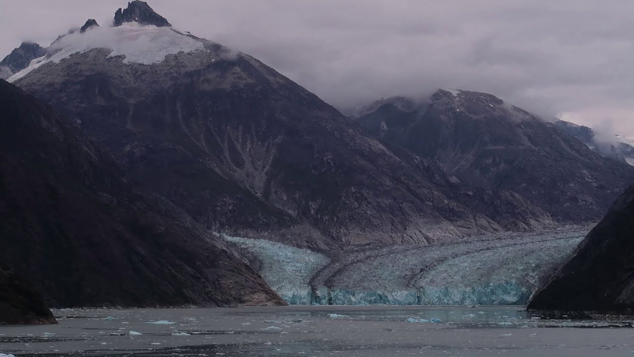 Disney Wonder Alaska Cruise 2019 | Day Three - Dawes Glacier | Palo Brunch, Glaciers, and Frozen!
