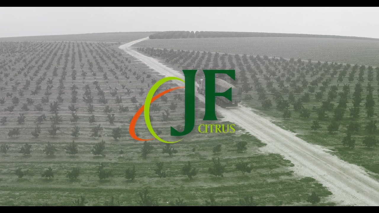 JF Citrus | Institucional