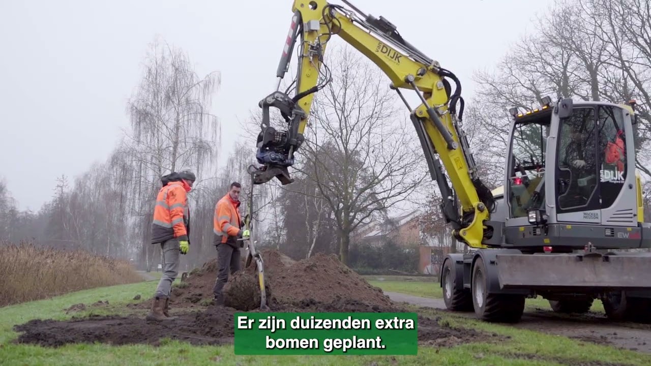 Biodiversiteit