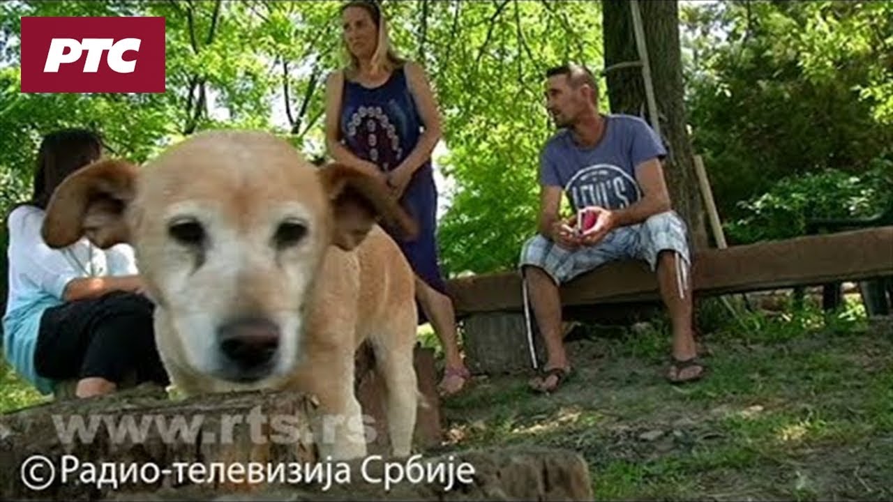 Srpsko selo lep&scaron;e od &Scaron;tajnhajma