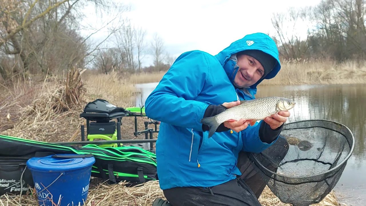 Klenie na feeder. Starorzecze Warty - Pstrokonie