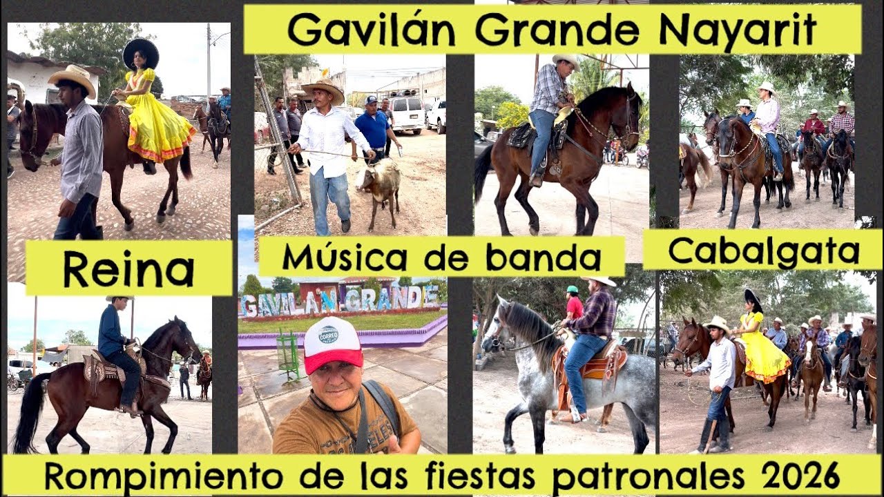 GAVILÁN GRANDE / rompimiento de las fiestas patronales 2026 / cabalgata - reina -música de banda .
