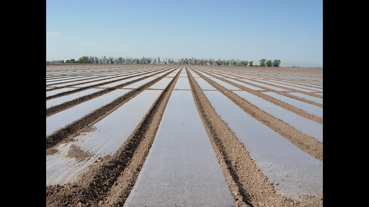 (Bio) solarizzazione - Vantaggi e svantaggi