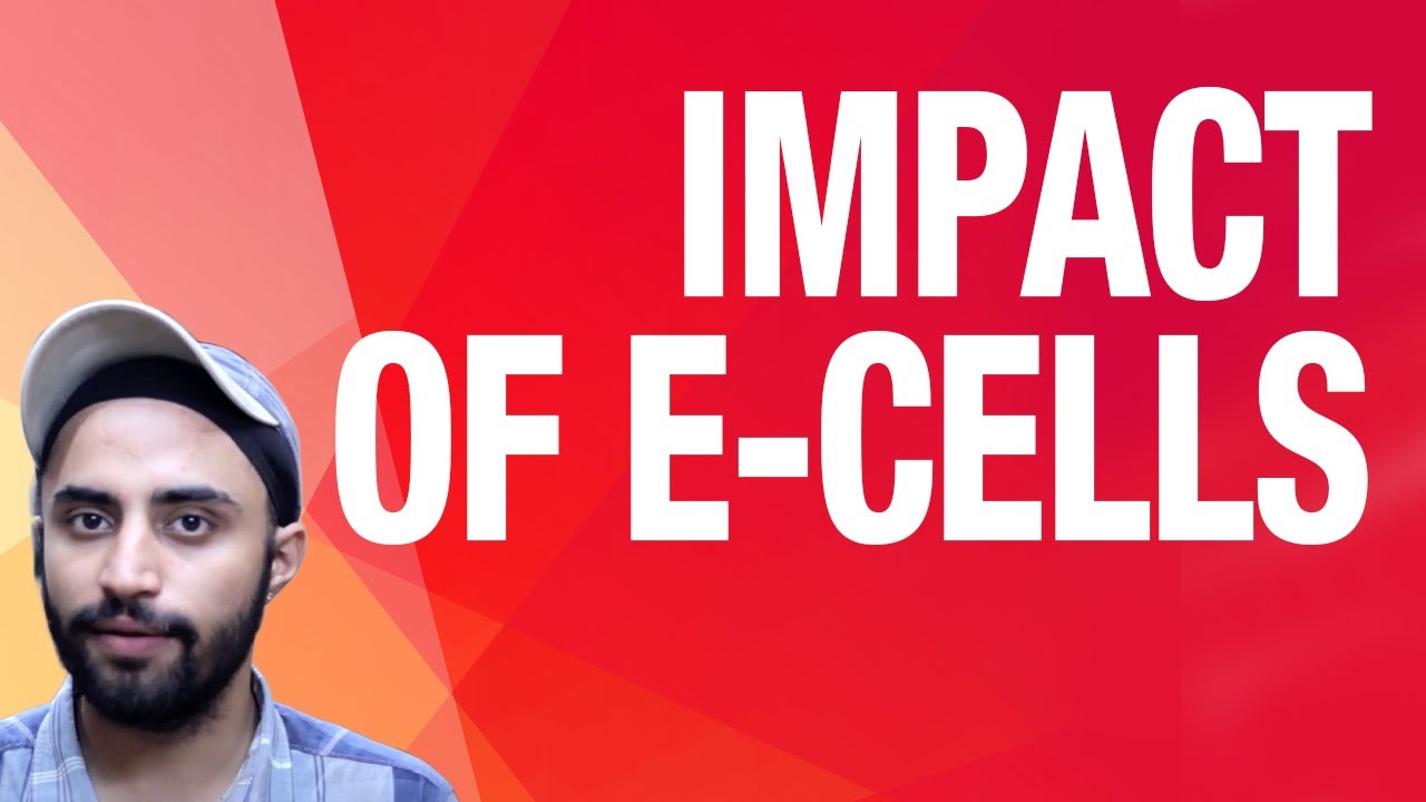 Role of E Cell's in Creating Entrepreneurial Impact - Aashish Beergi, CEO, Mash Project