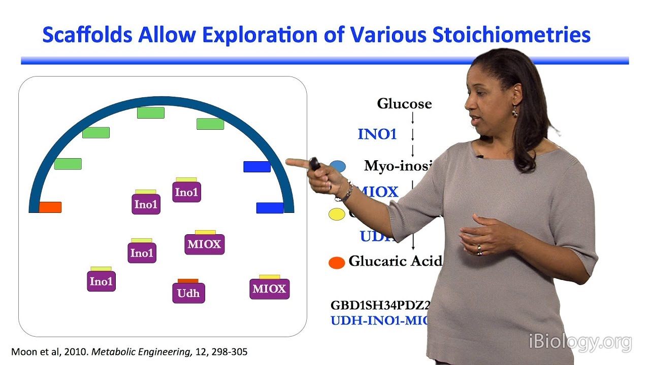 Kristala L. J. Prather (MIT) Part 2: Teaching an Old Bacterium New Tricks