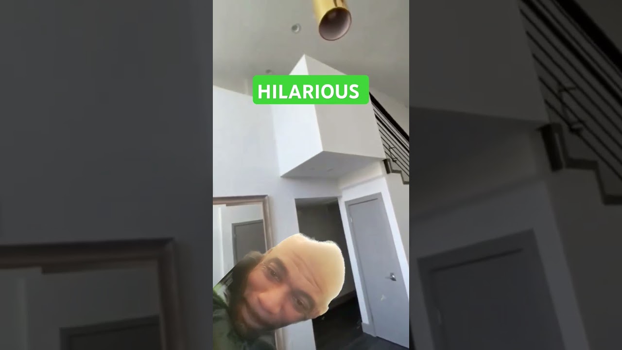 Dog Breaks Vase! #dog #funny #pets #comedy #puppy