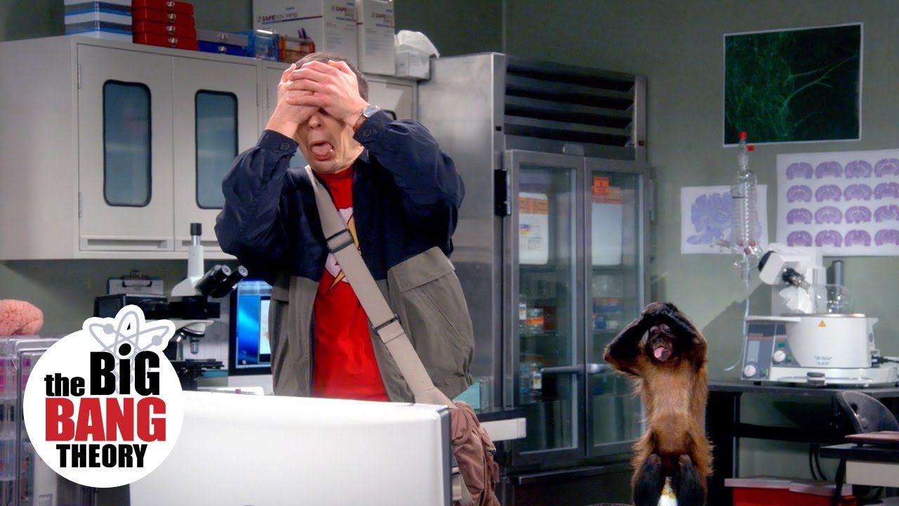 Sheldon Rudely Interrupts Amy's Experiment | The Big Bang Theory
