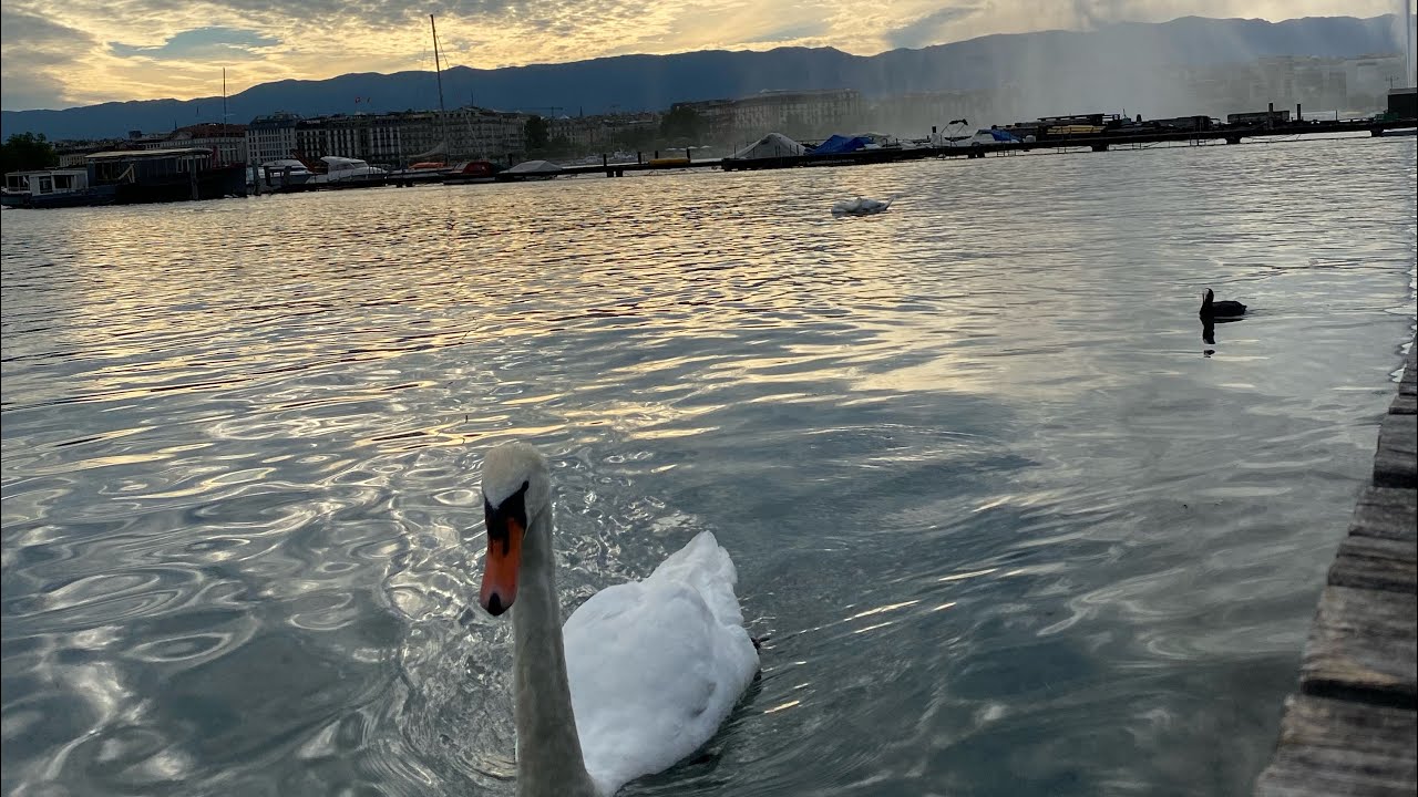 4k - Walking in Geneva, Switzerland 2021 - Summer, Part 1