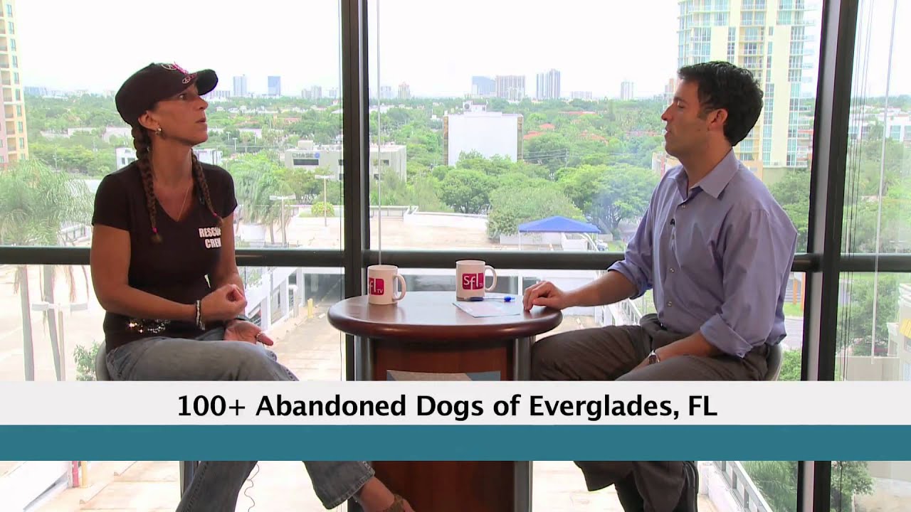 Inside South Florida 100+ Abandoned Dogs of Everglades, FL