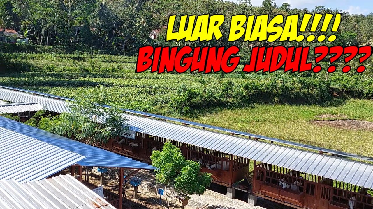 Dari 2,5 Ekor Jadi Peternakan Kambing Terbesar se-Indonesia