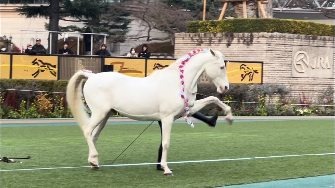 フリーダムホースショー東京競馬場2026年2月14日 ファンタスティコ 柳瀬JRA職員