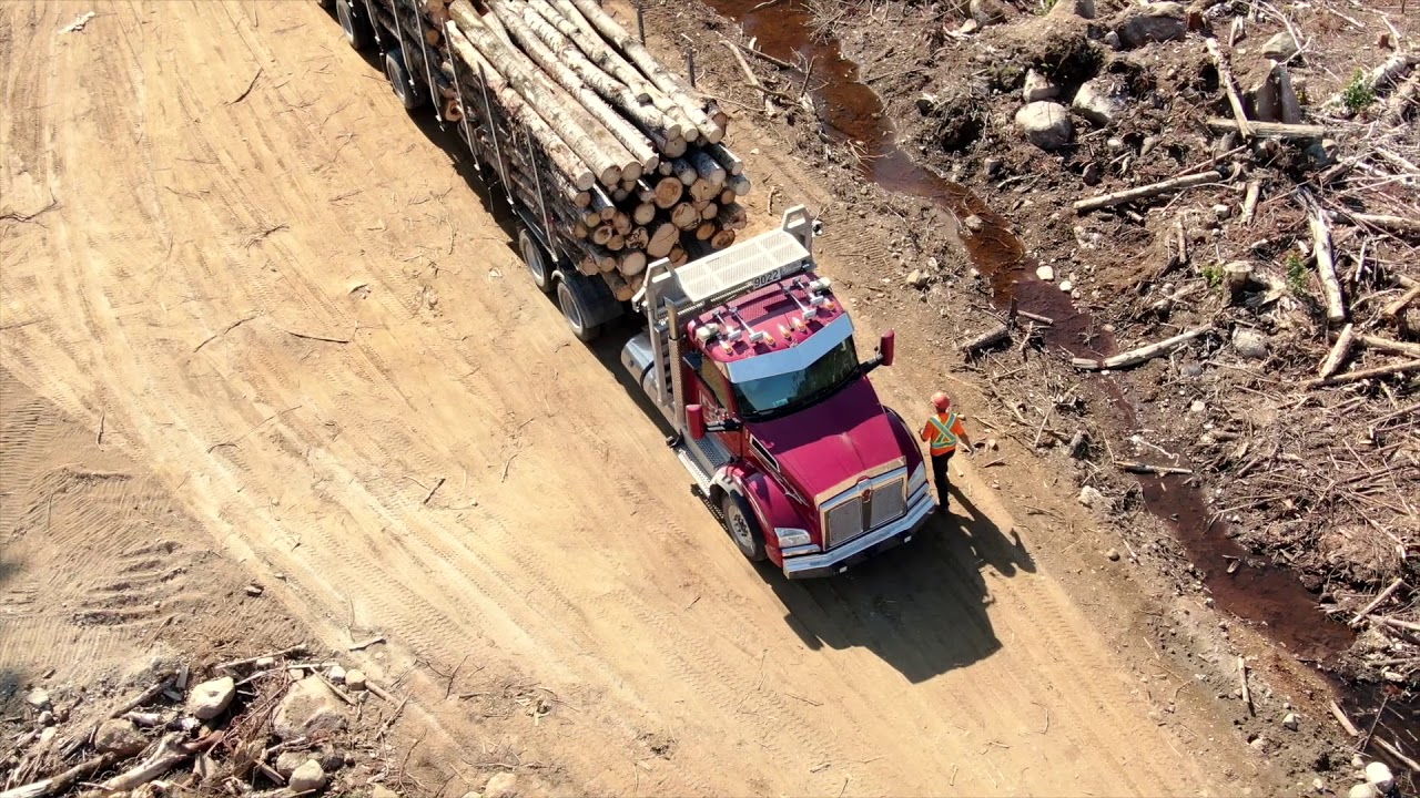 Conducteur ou Conductrice de camion sur chemin forestier - Résolu, c'est ta place