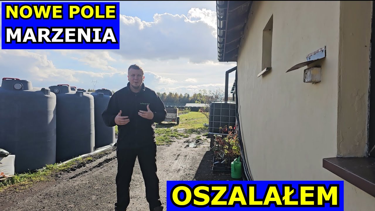 Czy Oszalałem? Marzenia, Nowe Pole, Kury, Samowystarczalność, Drewno, Przetwory, Dom z Wielkim Polem