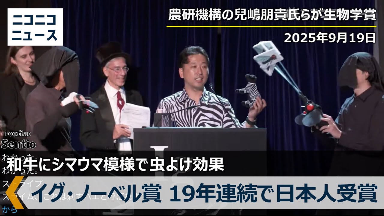 【イグ・ノーベル賞2025】19年連続で日本人受賞！農研機構の兒嶋朋貴さんらの研究グループが生物学賞を受賞「和牛にシマウマ模様（シマウシ）で虫よけ効果」