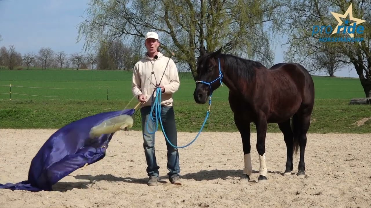 TRAILER Lehrserie 
