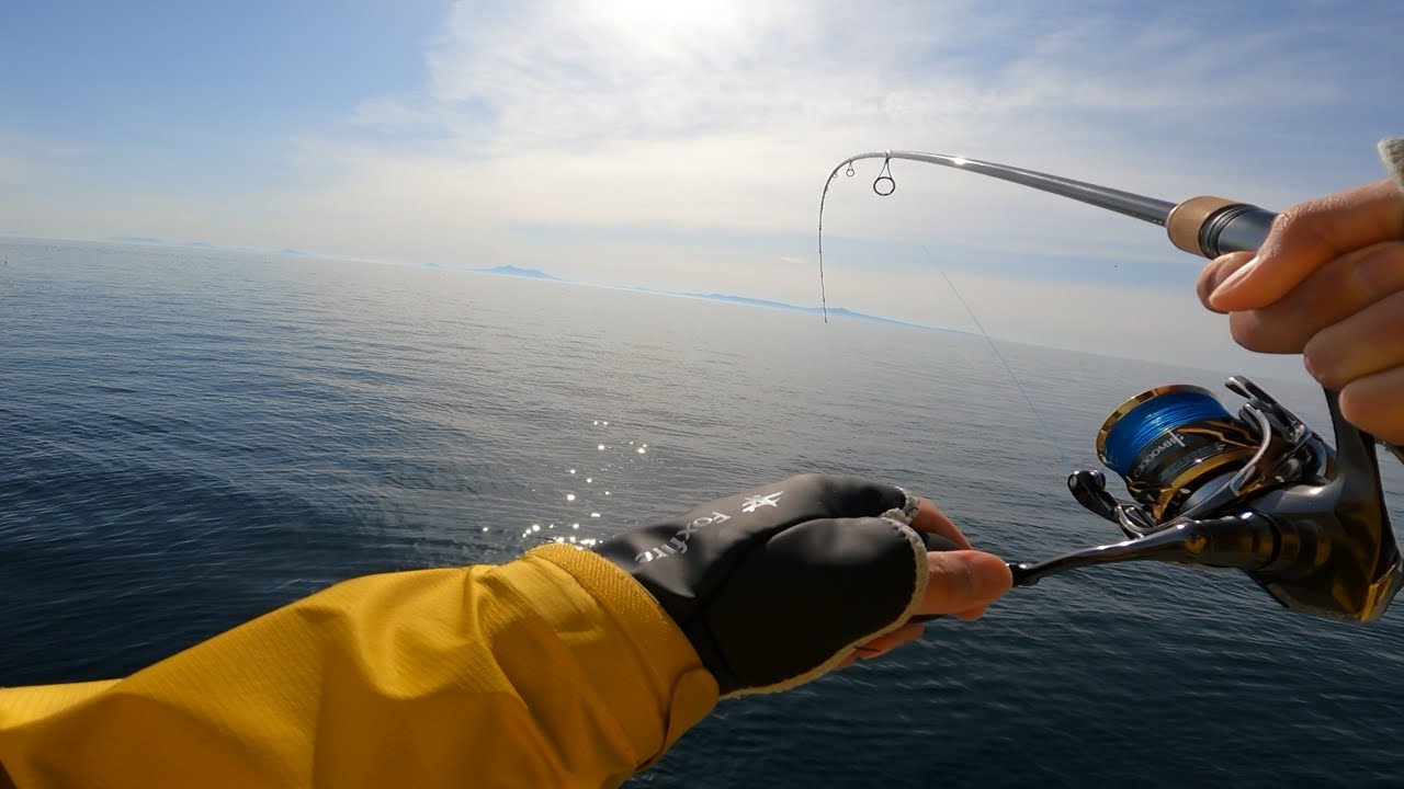 大型カレイが潜む小さな漁港