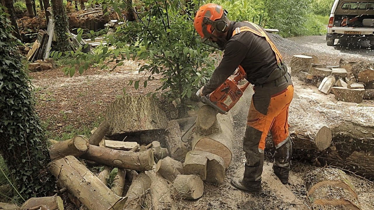 The Last Of The Summer Firewood - Husqvarna 365 chainsaw
