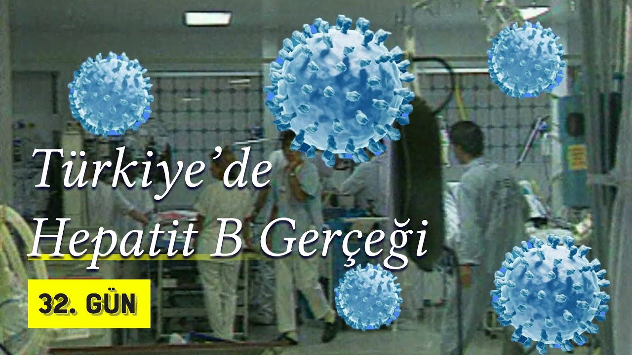 Türkiye'de Hepatit B Gerçeği | 1997