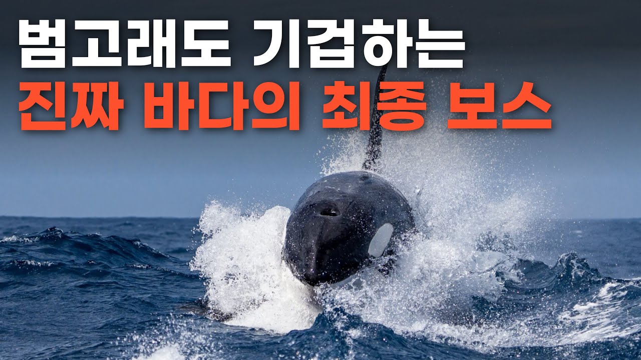 진정한 바다의 정점, 최상위의 생물체