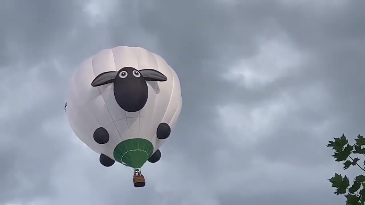 Telford Balloon Festival 2022