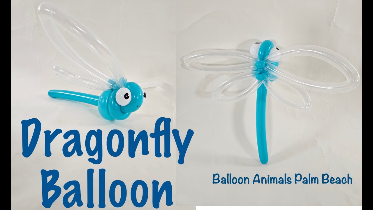 How To Make A Dragonfly Balloon - Balloon Animals Palm Beach