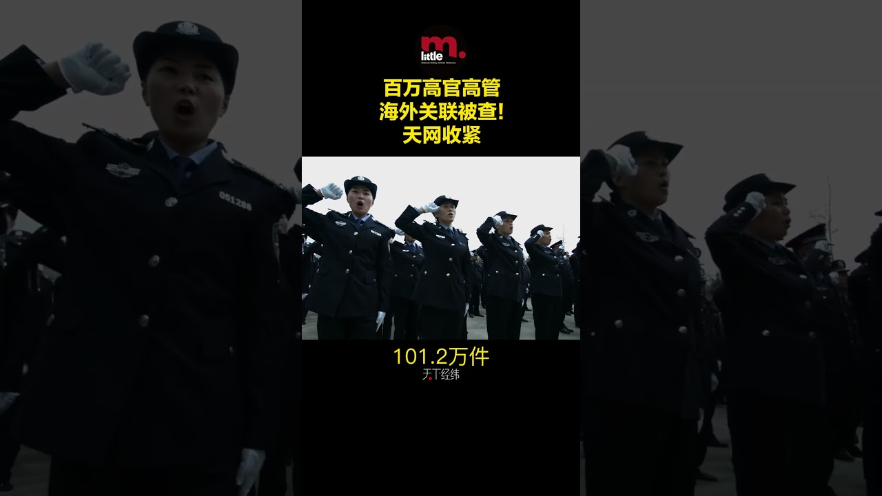 百万高官高管海外关联被查！天网收紧  #天下经纬
