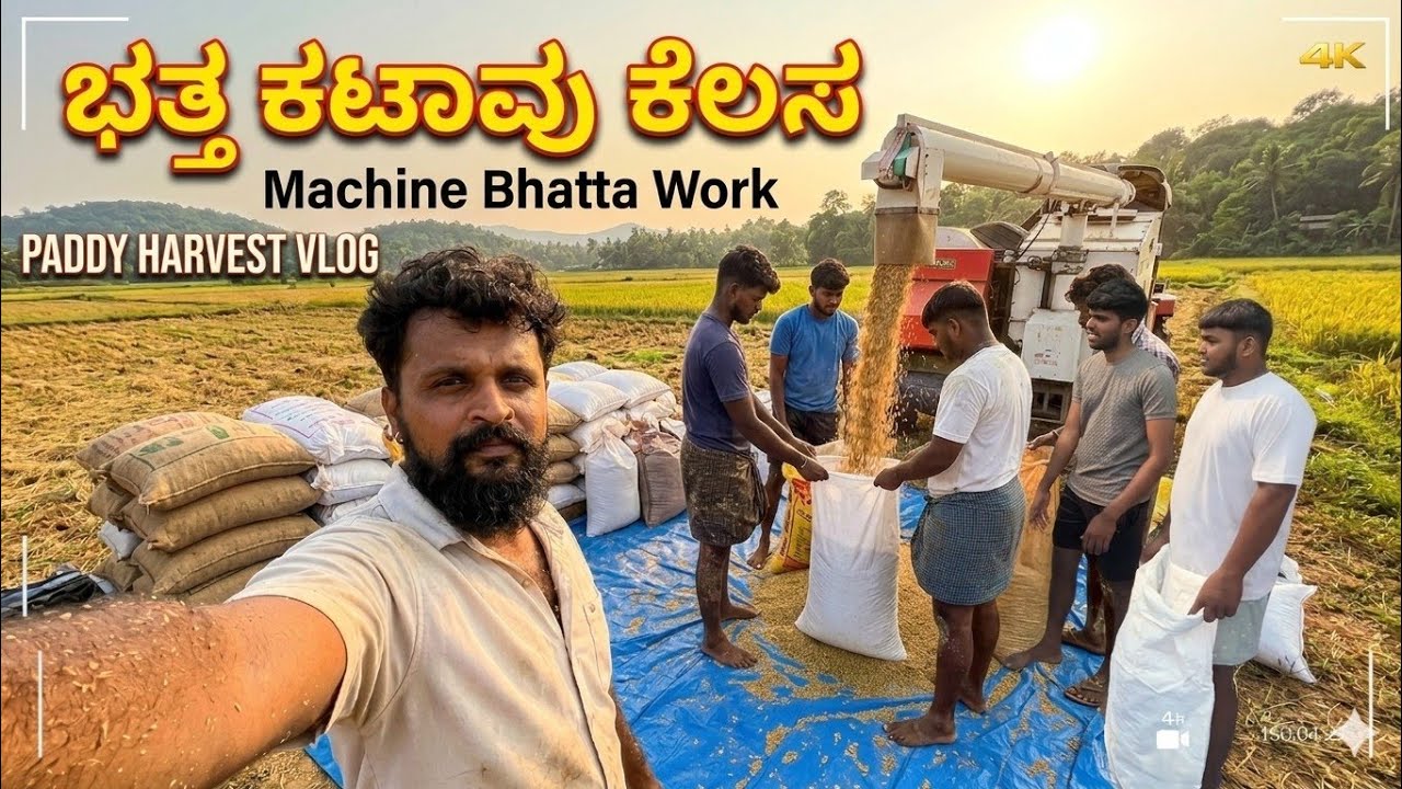 Village Farming + Friends Fun 🌾😂 | Bhatha Katavu Vlog | tulu 