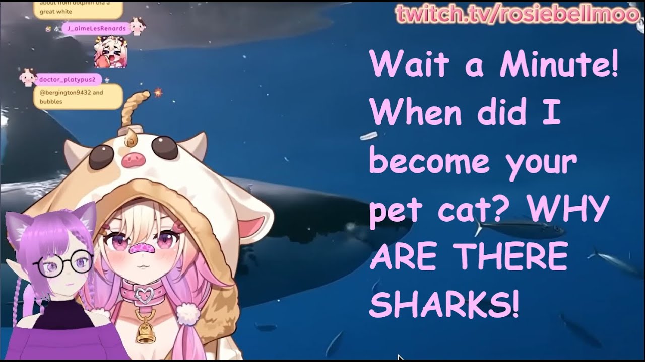 Wait when did I become someone's pet cat!