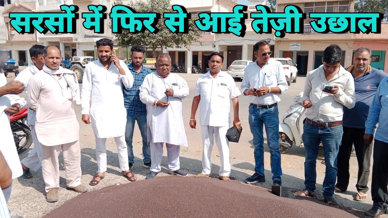 सरसों में उछाल फिर से आई तेज़ी || Jump and increase in rate of mustard again ||