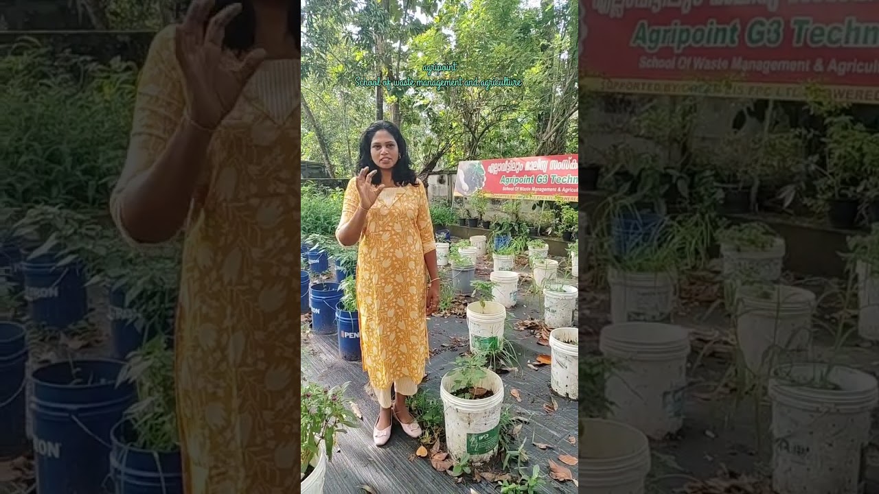 ഈ സംരംഭക അഗ്രിപോയിൻ്റിൽ എത്തിയതെന്തിന് #composting #wastemanagement