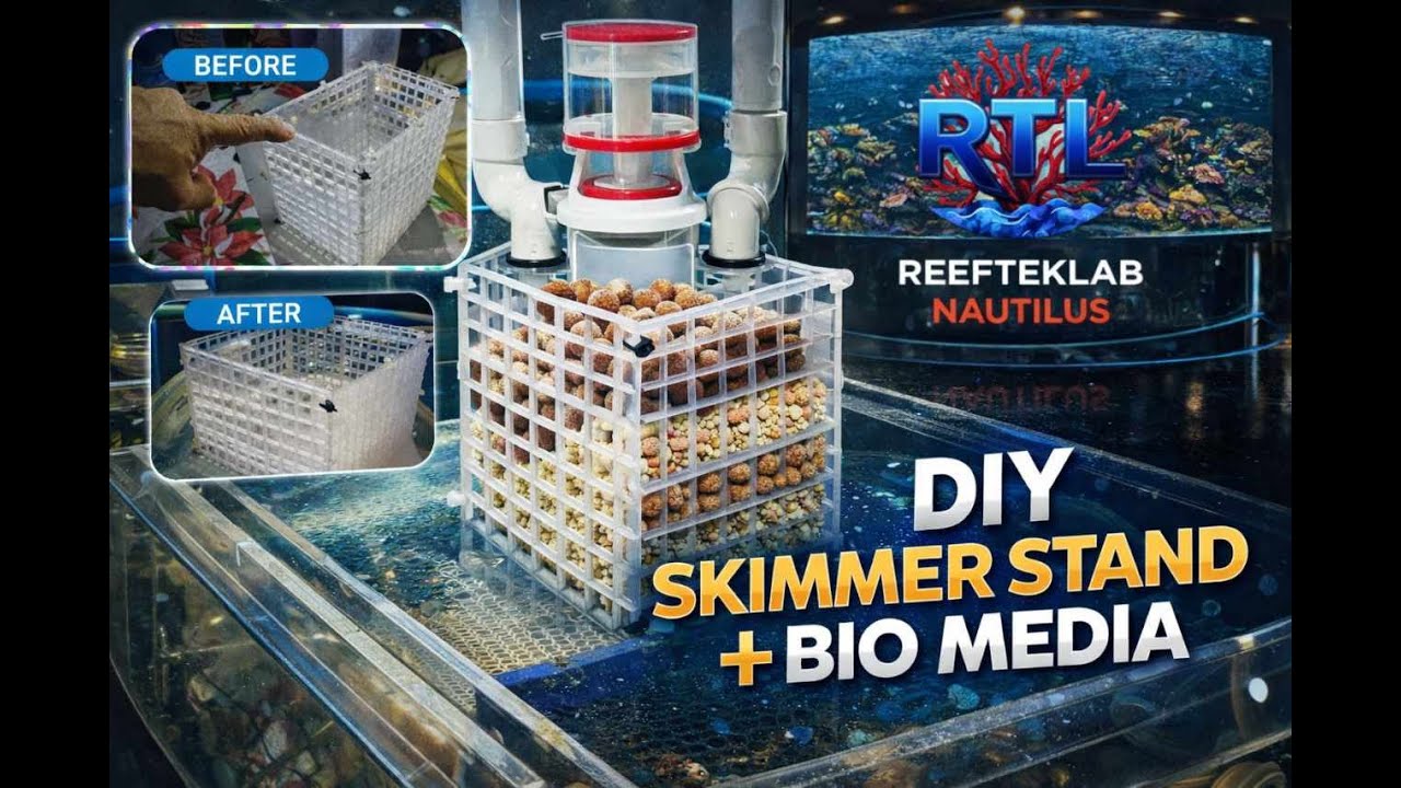 🛑 Прекратите тратить место в сампе впустую! Самодельная подставка для протеинового скиммера и био...