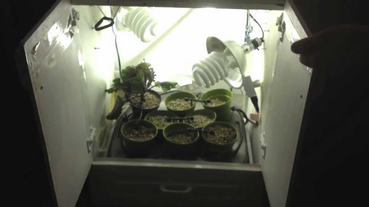 CFL Micro Grow Box With Hydroponics and Aeration