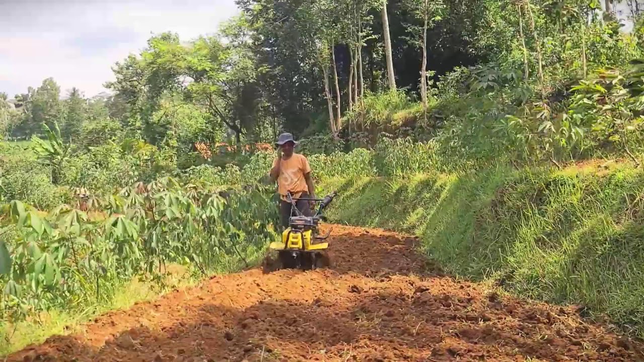 Tractor Farming Meets Rural Tradition 