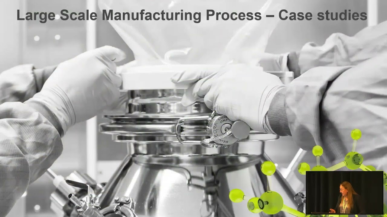Process Development and Control Strategy for an Efficient Large Scale Manufacturing Process