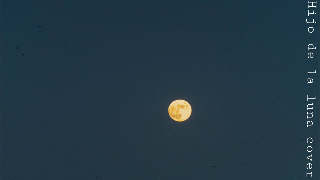Hijo de la luna Mecano🌙 (cover)
