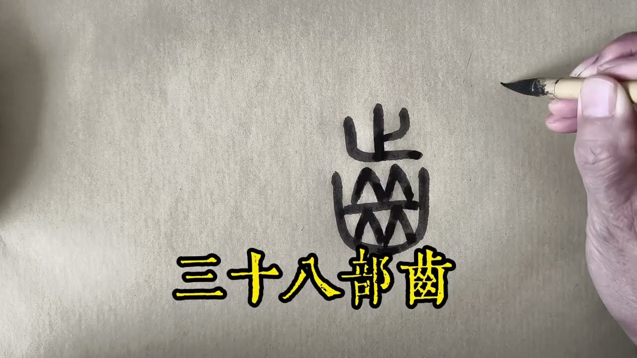 三十八部齒/牙齗骨