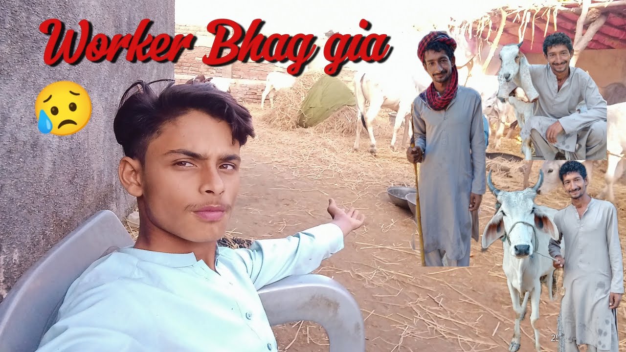 Worker bhag gia 😥😥🥲#like #vlog 