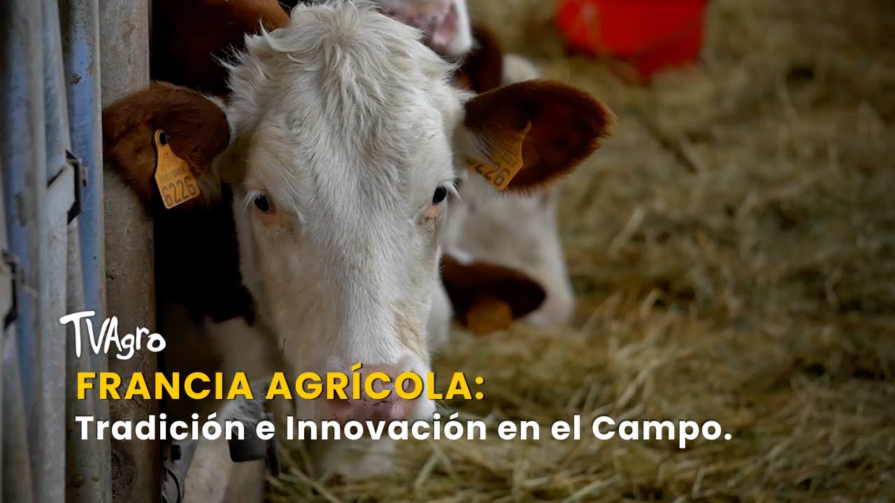 Francia Agrícola: Tradición e Innovación en el Campo - TvAgro por Juan Gonzalo Angel