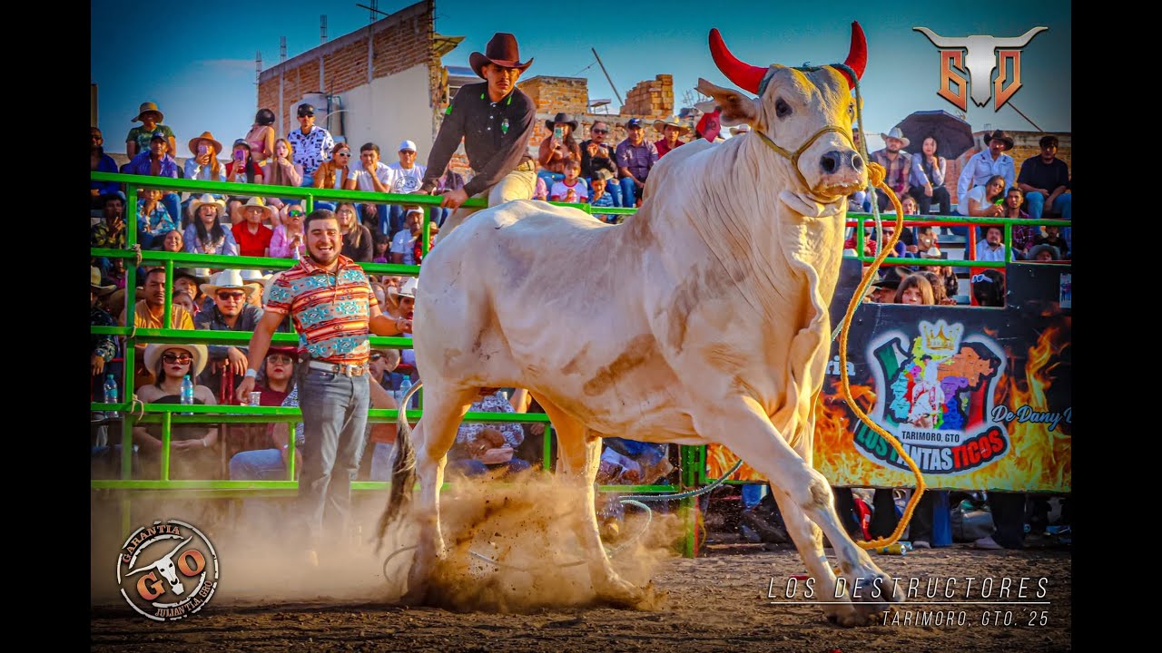 🔴 LOS DESTRUCTORES en Vivo 🔴 8 enero 2026 Huandacareo Michoacán CHUY LIZARRAGA en sones del Jaripeo